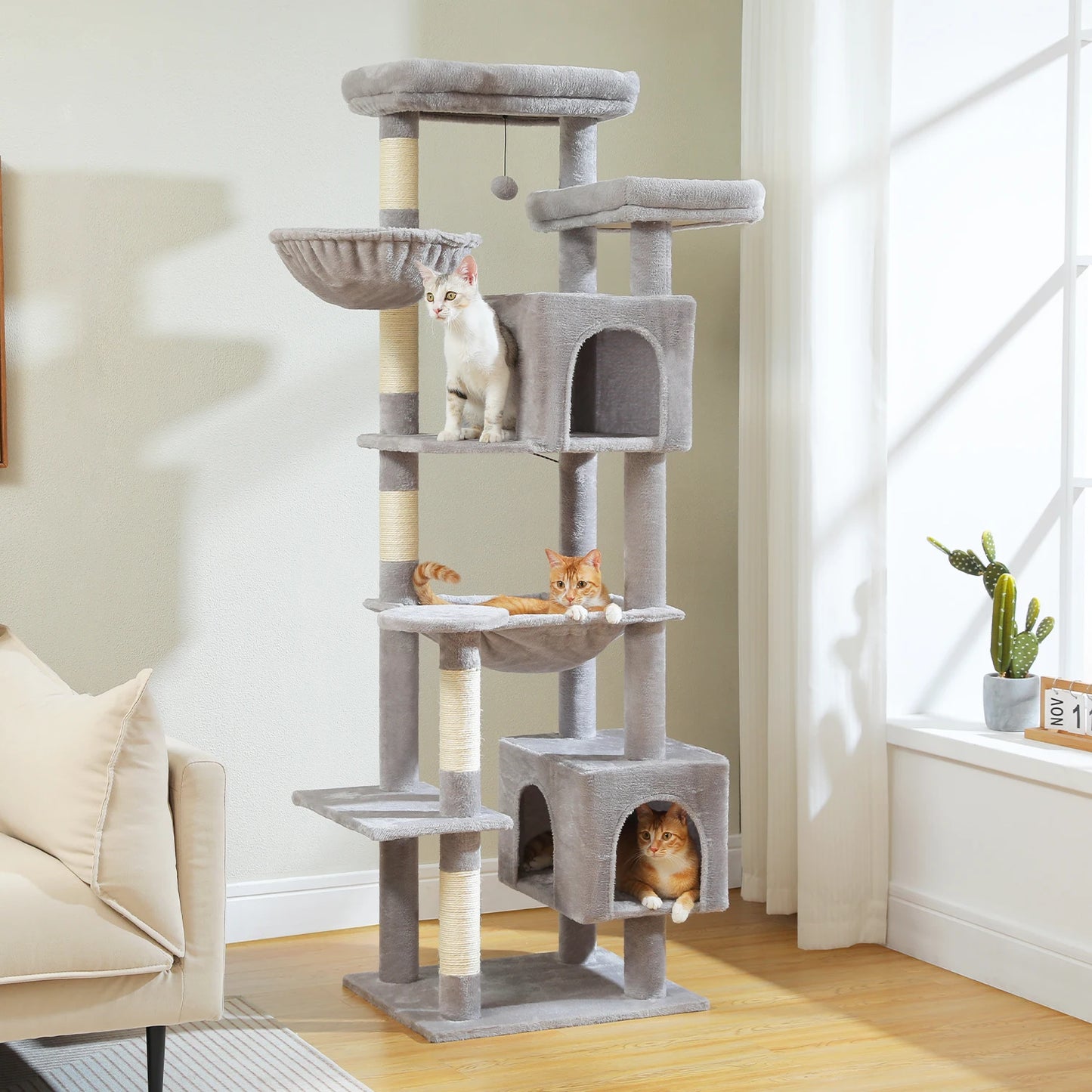 Kitty Luxury Condo