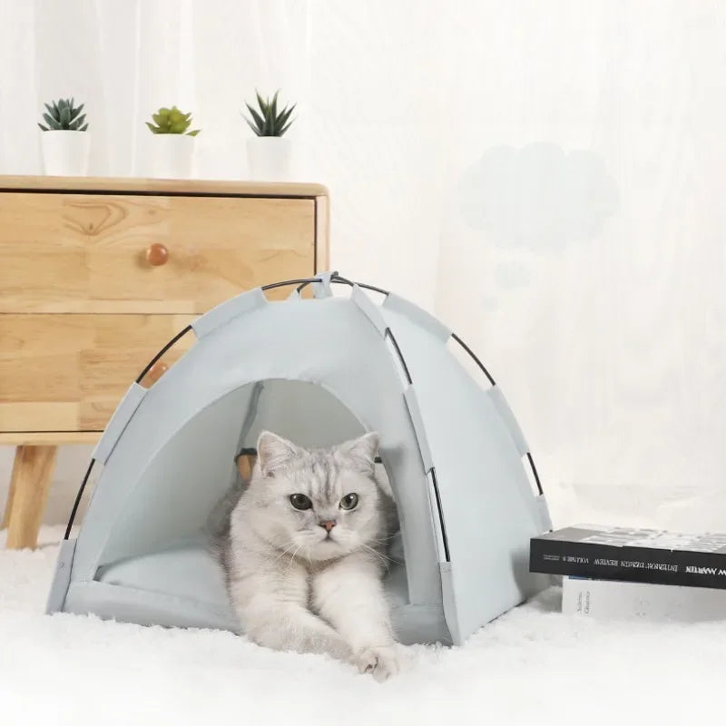 Camping Tent