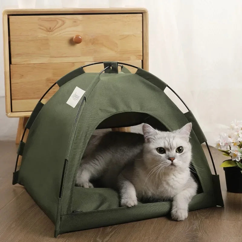 Camping Tent