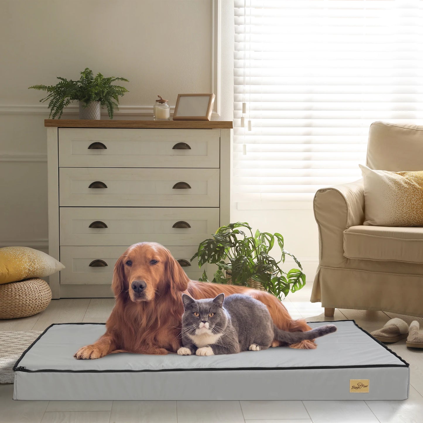 Extra Large Dog Bed Orthopedic