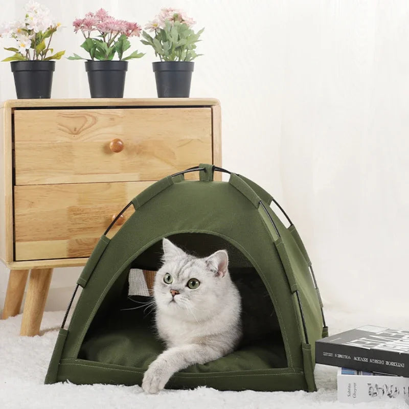 Camping Tent