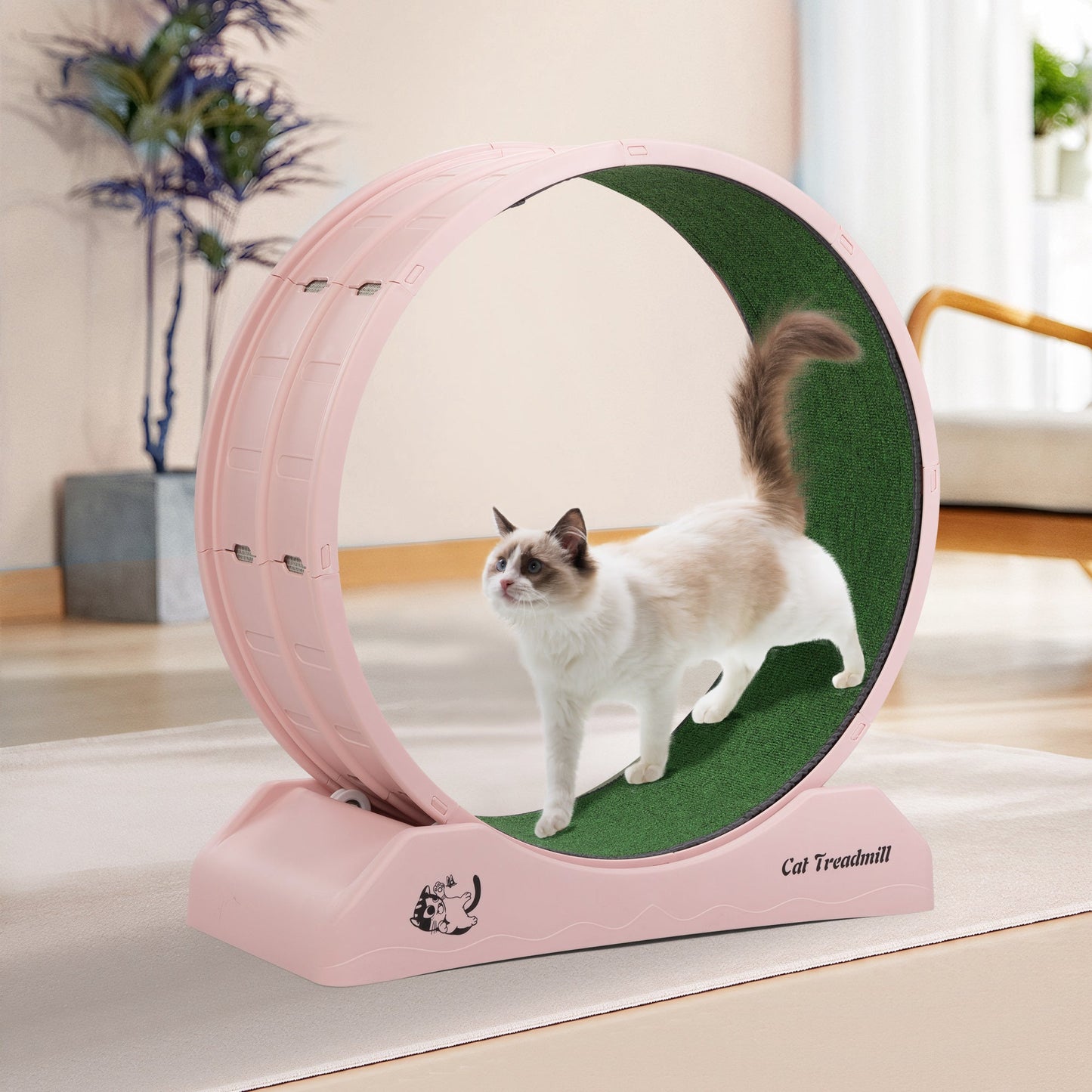 Cat Running Wheel